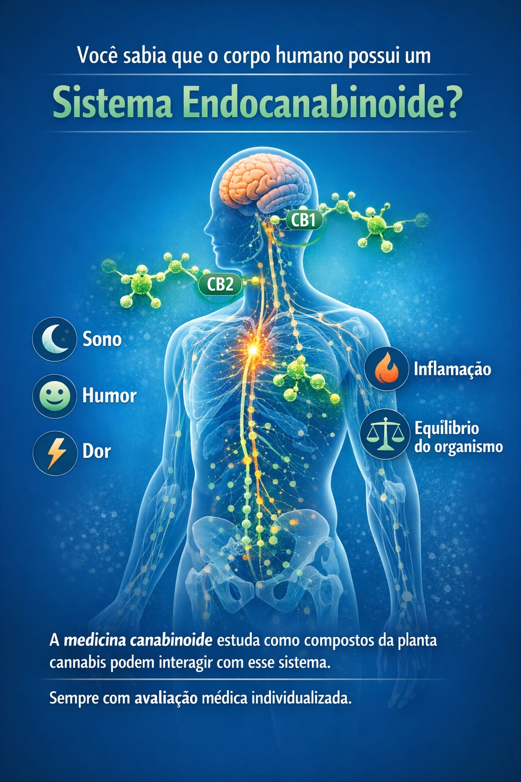 Sistema Endocanabinoide